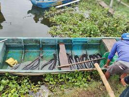Atividades do pescador às cengklik reservatório dentro surakarta, Indonésia foto