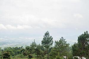 panorama jardim e montanha bandungan Semarang central Java. a foto é adequado para usar para aventura conteúdo meios de comunicação, natureza poster e floresta fundo.