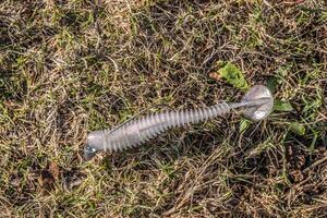 pescaria atrair deitado em a terra foto