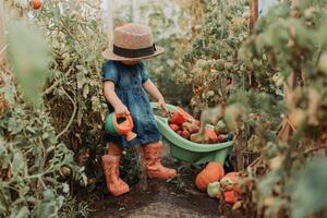 pequeno menina dentro uma azul vestir, borracha chuteiras e uma Palha chapéu é rega plantas dentro a outono jardim foto