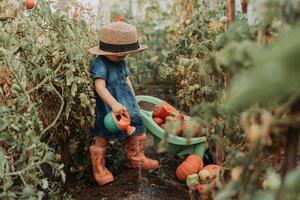 pequeno menina dentro uma azul vestir, borracha chuteiras e uma Palha chapéu é rega plantas dentro a outono jardim foto