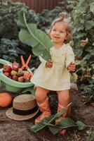 fofa pequeno menina é colheita. jardim carrinho de mão com legumes e frutas. outono conceito foto