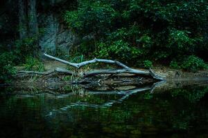 sereno Rocha piscinas às crepúsculo foto