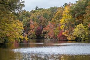 outono cores às a lago foto