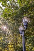 manhã Sol brilhante em rua luzes foto