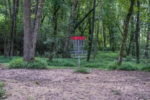 disco golfe cesta dentro a bosques foto