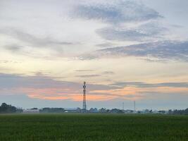 nascer do sol em a arroz campo área foto