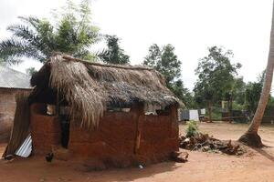 rural vida dentro Djangbo dentro benin foto