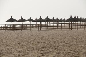 Sol guarda-chuvas às a de praia dentro benin foto