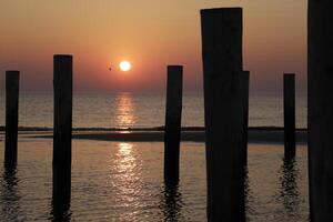 pôr do sol dentro a pólo Vila do petten dentro a Países Baixos foto