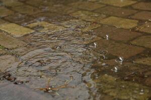 chuva dentro a rua foto