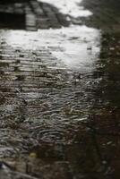 chuva dentro a rua foto