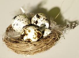 ninho com ovos, Páscoa decoração foto