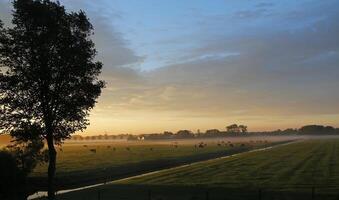 Sol alvorecer dentro a Holanda, Visão sobre campo e panorama foto