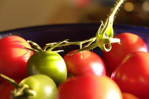 vermelho e verde tomate dentro a luz foto