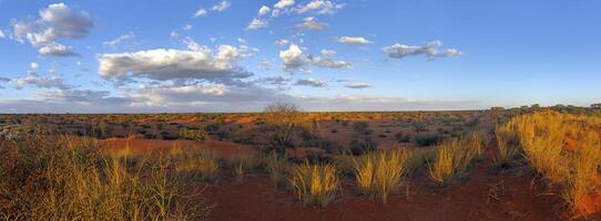 panorâmico cenário sobre a namibiano Kalahari dentro a tarde às pôr do sol com azul céu e luz nuvens foto