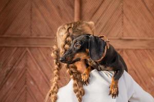 jovem mulher com cabelo trançado segurando seu dachshund de estimação nos braços ao ar livre foto