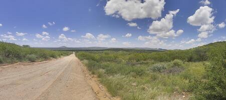 Visão sobre a cascalho estrada dentro a namibiano Kalahari durante a dia debaixo uma azul céu foto