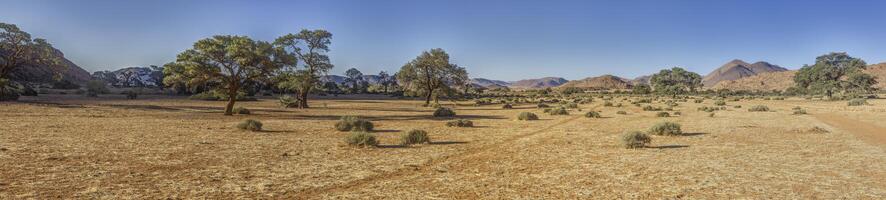 cenário do a único panorama do a tiras montanhas em a Beira do a namib deserto dentro Namíbia foto