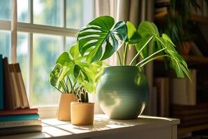 verde monstera plantas e livros em janela peitoril às casa.. foto