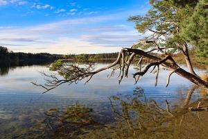 foto romântica de um lago com reflexos perfeitos do sol na água