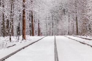 um velho bonde se movendo por uma floresta de inverno foto