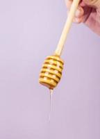 mão humana segurando a concha com fundo roxo mel