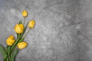 amarelo tulipas em cinzento cimento fundo minimalismo topo visualizar, Páscoa decoração, primavera foto