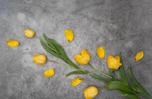 amarelo tulipas em cinzento cimento fundo minimalismo topo visualizar, Páscoa decoração, primavera foto