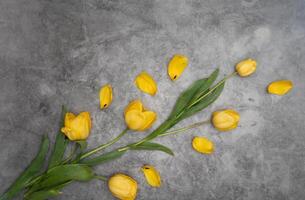 amarelo tulipas em cinzento cimento fundo minimalismo topo visualizar, Páscoa decoração, primavera foto