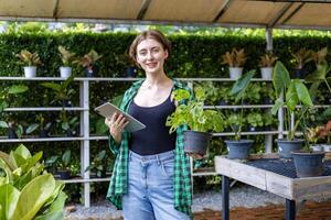 caucasiano jardineiro é escolhendo alocasia plantar dentro a estufa para floresta tropical exótico concurso plantar para ornamental jardinagem foto