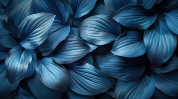 uma denso grupo do azul flores agrupado de perto juntos foto