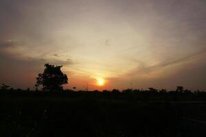 pôr do sol sobre quieto rural arroz Campos foto