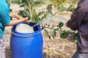 fechar acima agricultor mão aguarde tubo do água para colocar para dentro azul baldes dentro jardim. conceito, resolver problemas em falta do água dentro agricultura de preparar água para rega plantas dentro seca temporada. foto