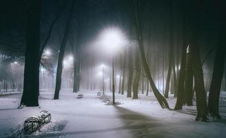 inverno parque às noite com Natal decorações, brilhando lanternas e árvores coberto com neve. vintage filme estética. foto