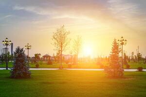 cidade parque dentro cedo verão ou Primavera com lanternas, jovem verde grama, árvores e dramático nublado céu em uma pôr do sol ou nascer do sol. foto
