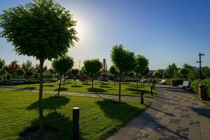 pôr do sol ou alvorecer dentro uma parque com cortar árvores, calçada e verde gramados. foto