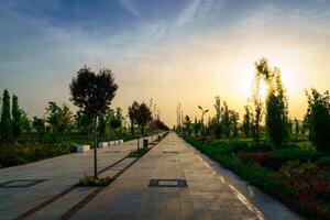 cidade parque dentro cedo verão ou Primavera com pavimento, lanternas, jovem verde grama, árvores e dramático nublado céu em uma pôr do sol ou nascer do sol. foto