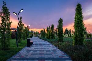 cidade parque dentro cedo verão ou Primavera com pavimento, lanternas, jovem verde grama, árvores e dramático nublado céu em uma pôr do sol ou nascer do sol. foto