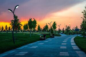 cidade parque dentro cedo verão ou Primavera com pavimento, lanternas, jovem verde grama, árvores e dramático nublado céu em uma pôr do sol ou nascer do sol. foto