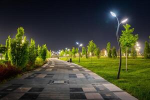 cidade noite parque dentro cedo verão ou Primavera com pavimento, lanternas, jovem verde gramado e árvores foto