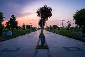 cidade parque dentro cedo verão ou Primavera com pavimento, lanternas, jovem verde grama, árvores e dramático nublado céu em uma pôr do sol ou nascer do sol. foto