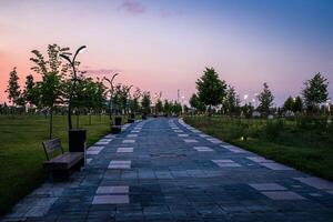 cidade parque dentro cedo verão ou Primavera com pavimento, lanternas, jovem verde grama, árvores e dramático nublado céu em uma pôr do sol ou nascer do sol. foto