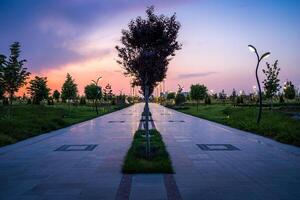 cidade parque dentro cedo verão ou Primavera com pavimento, lanternas, jovem verde grama, árvores e dramático nublado céu em uma pôr do sol ou nascer do sol. foto