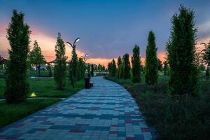 cidade parque dentro cedo verão ou Primavera com pavimento, lanternas, jovem verde grama, árvores e dramático nublado céu em uma pôr do sol ou nascer do sol. foto