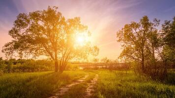 cena do lindo pôr do sol ou nascer do sol às cedo verão ou Primavera campo com salgueiro árvores e grama. foto