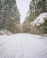 automóvel estrada através uma pinho inverno floresta coberto com neve em uma nublado dia. vintage filme estética. foto