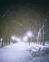 inverno noite parque com árvores, brilhando lanternas e bancos coberto com neve. vintage filme estética. foto