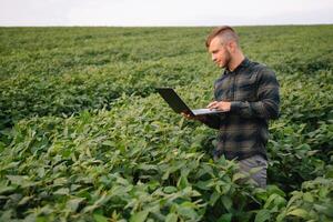 agrônomo inspecionando soja feijão cultivo crescendo dentro a Fazenda campo. agricultura Produção conceito. agronegócio conceito. agrícola engenheiro em pé dentro uma soja campo foto