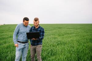 dois agricultor em pé dentro uma trigo campo e olhando às computador portátil, elas estão examinando corporação. jovem bonito agrônomo. agronegócio conceito. agrícola engenheiro em pé dentro uma trigo campo. foto